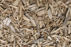biomass boilers Samhla